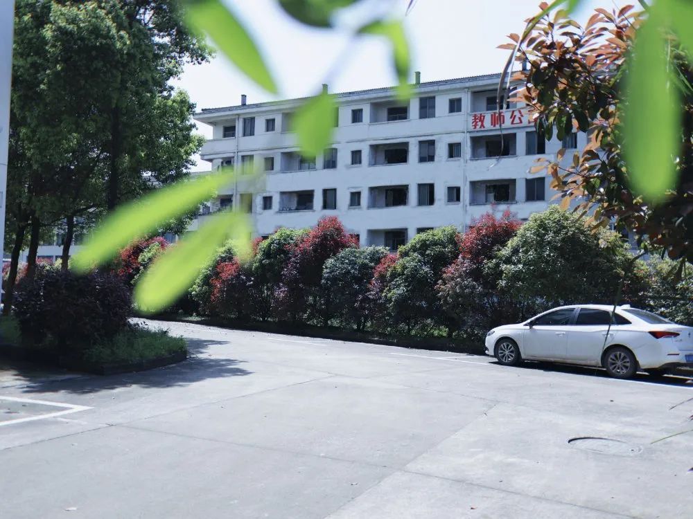 與校領導面對面！直擊家長們所關心的問題！(圖4)