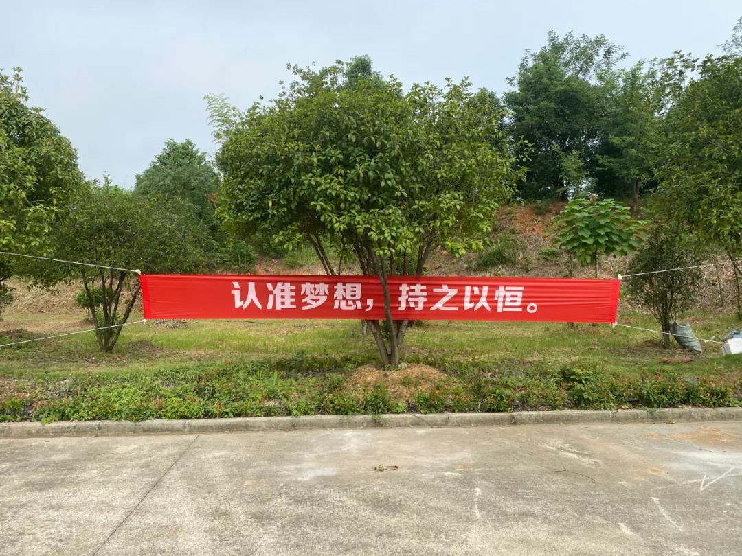 開學報道第一天｜齊心協力譜新篇，奮斗追夢再啟航(圖1)