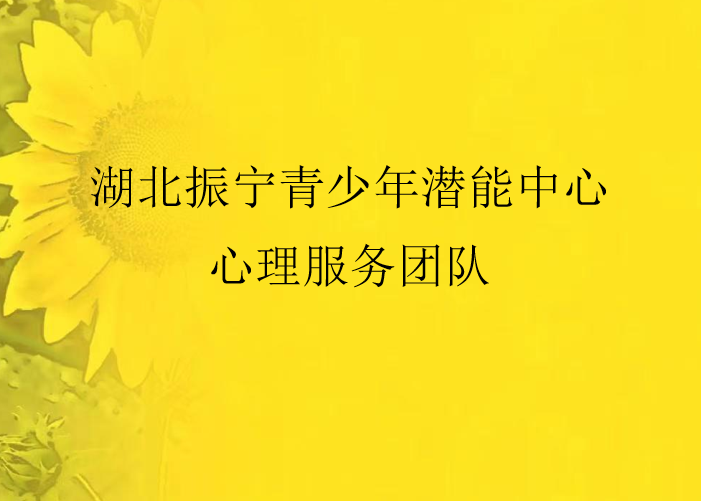 咸寧振寧技工學校攜手省心理協會專家團隊 共啟青少年心理健康服務新征程(圖2)